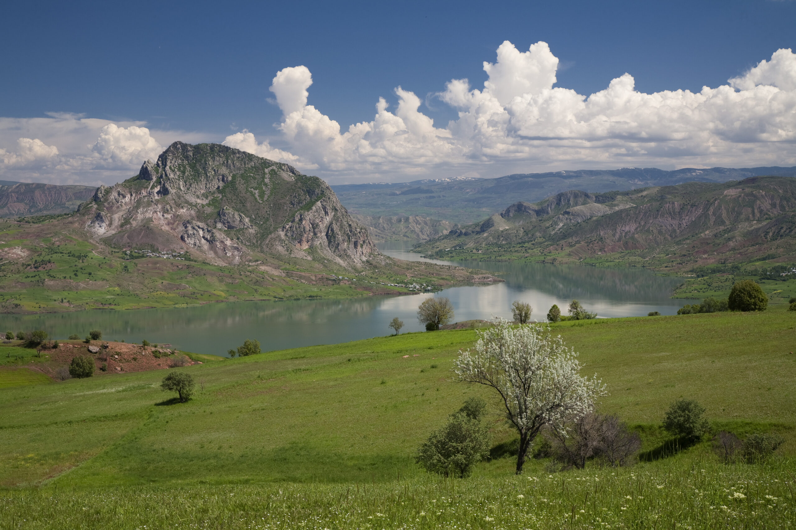 şebinkarahisar kılıçkaya baraşı